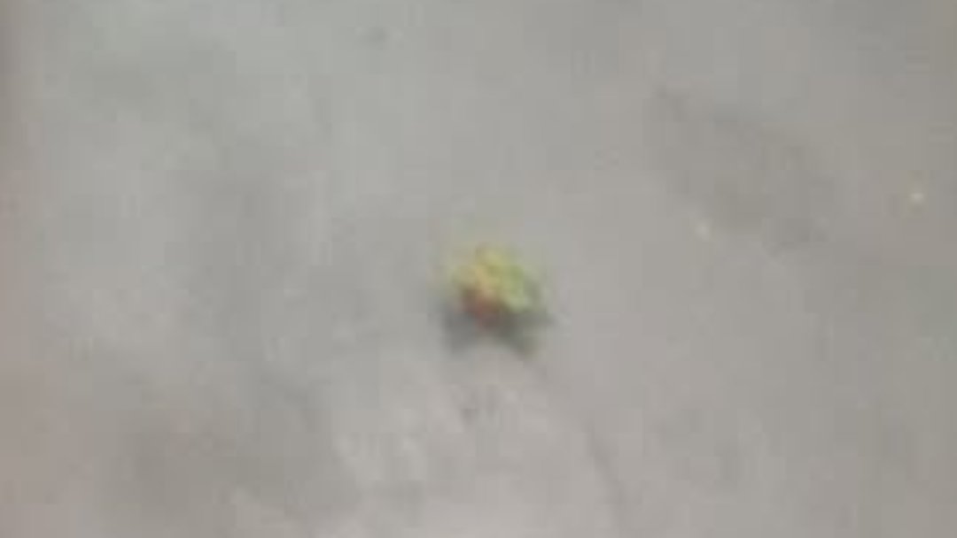 h3nNi  tweet media