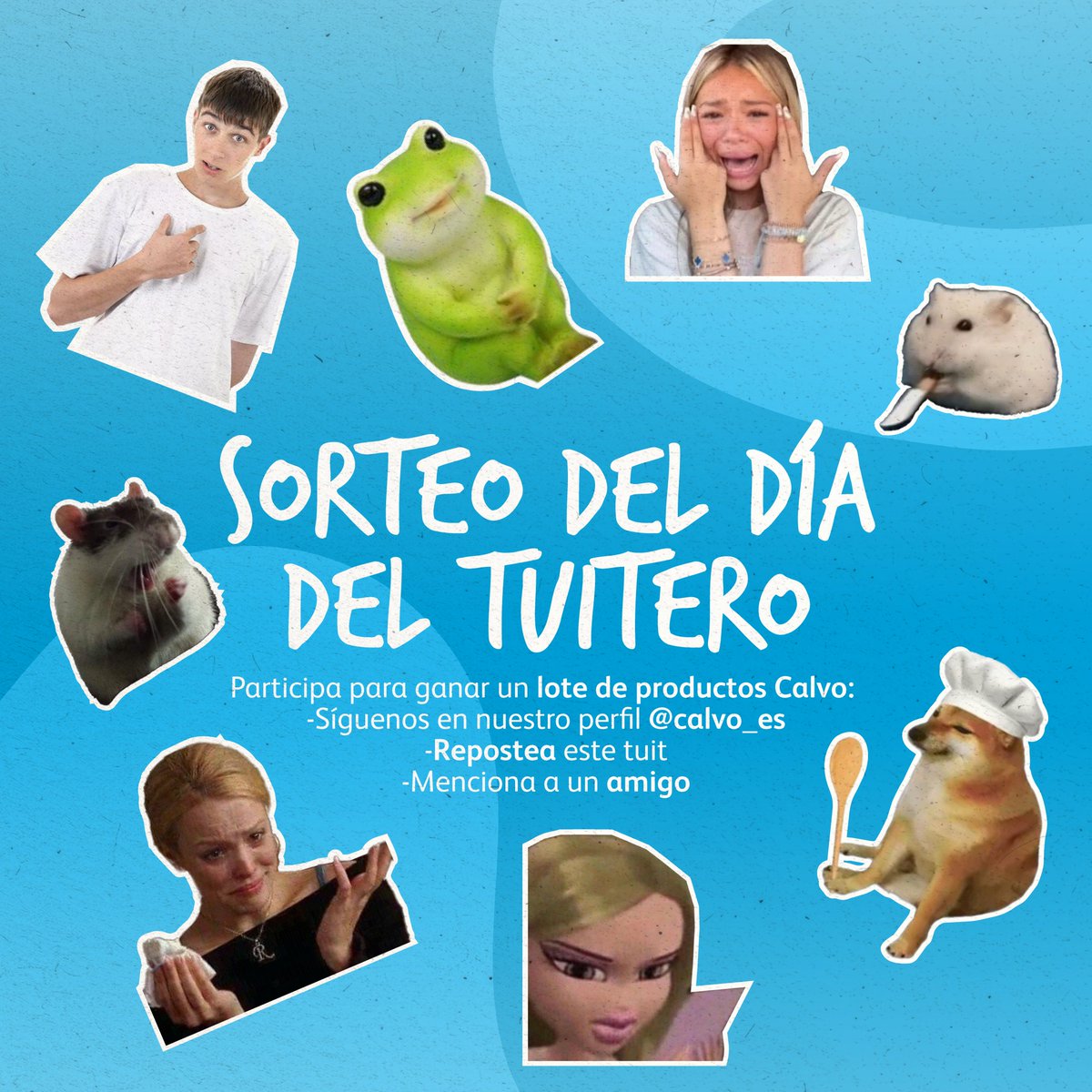 Conservas Calvo tweet media