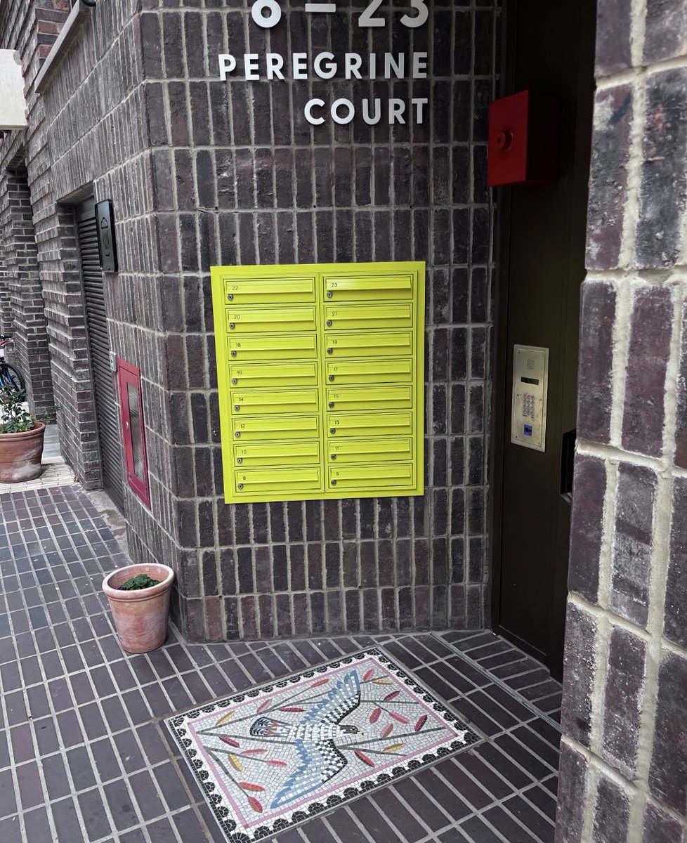 Potter Raper tweet media