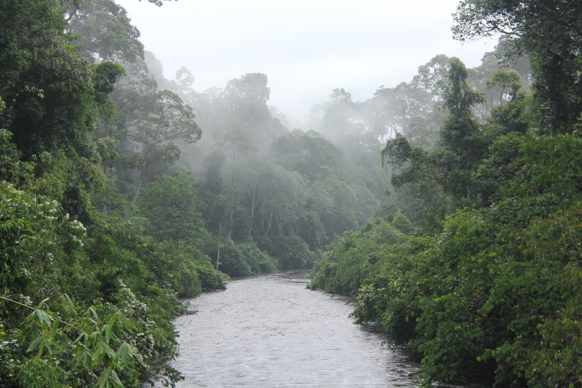 SAFE Project tweet media