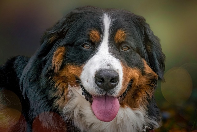 Leroy Yarborough tweet media