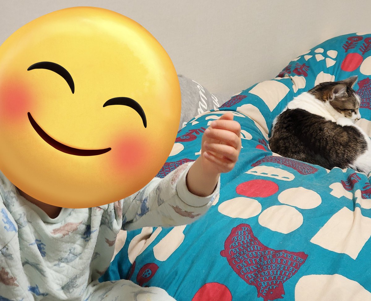 Saki Momiyama　-きなくるみ- 春M3 N-10b tweet media