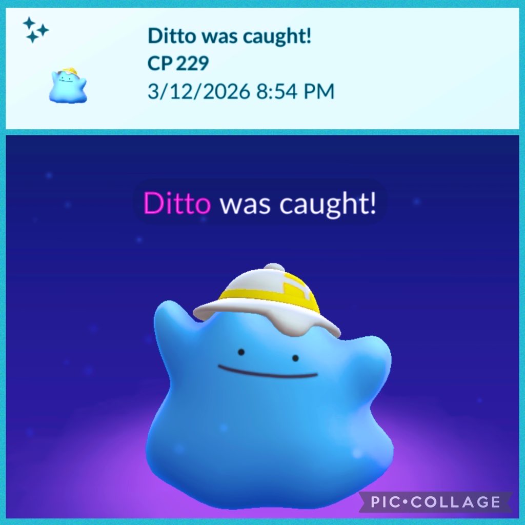 SmileThippy's tweet photo. ദ്ദി◍>◡<◍)‹"ーᵎᵎ ☆⋆。𖦹°‧ 🩵
#ShinyDitto
#PokemonGO🧢🫶🏻 https://t.co/E5NboawPDi