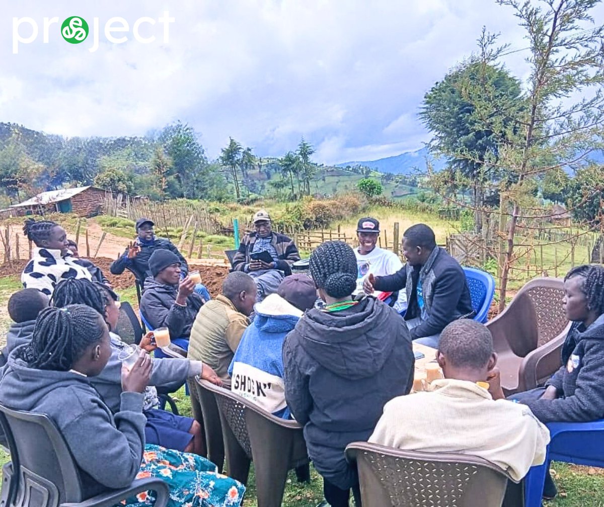 project trinitē tweet media