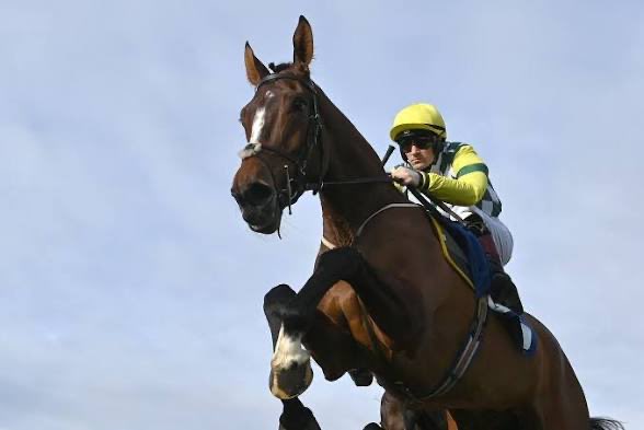 We're Going Chasing 🎙 tweet media