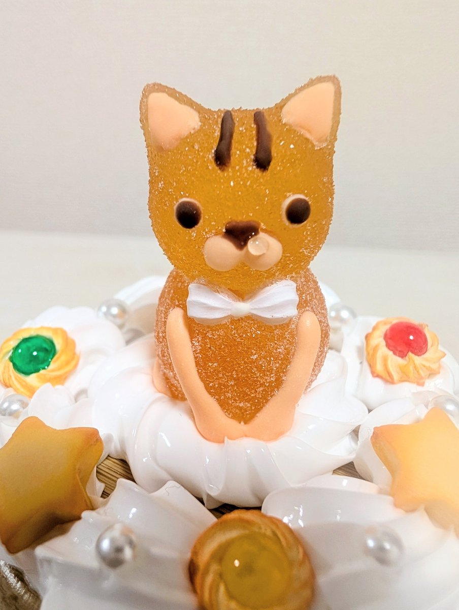 チームD tweet media