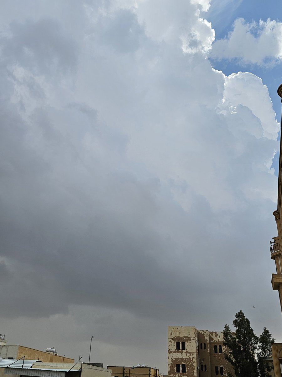 د . سلطان آل عيد الهذلي tweet media