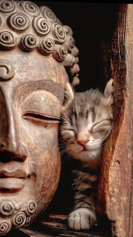 Indreni 🗻🌲 tweet media