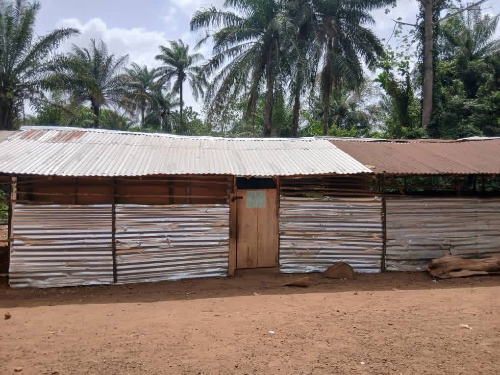 Teach For Sierra Leone tweet media