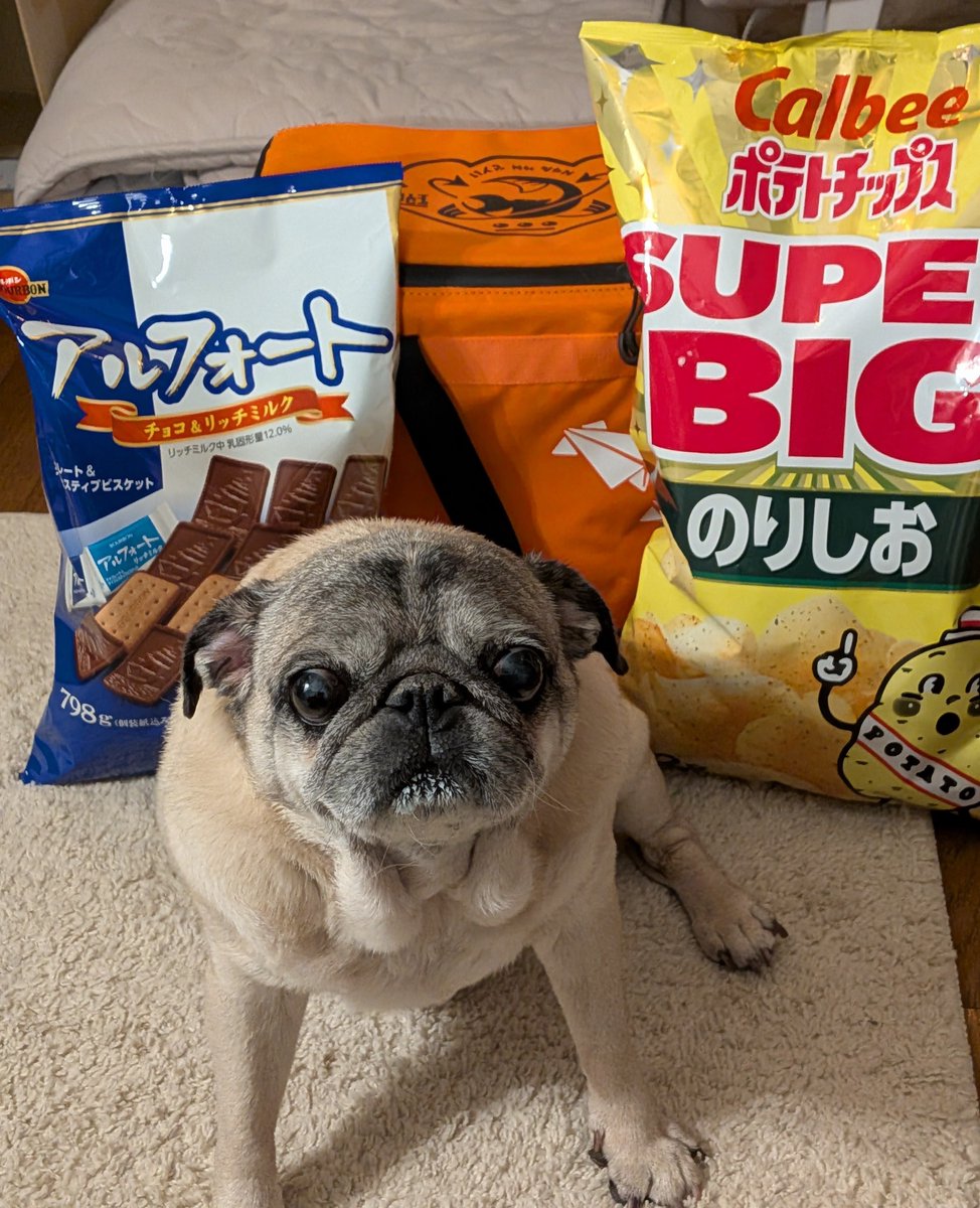 Magnolia tweet media