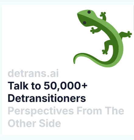 Women's Rights Party NZ tweet media