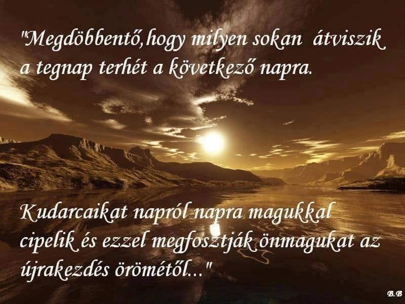 FarkasAndras11's tweet photo. https://t.co/li51iayIXS