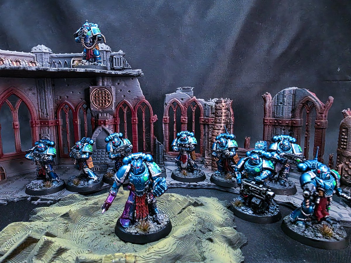 Grey Fox tweet media