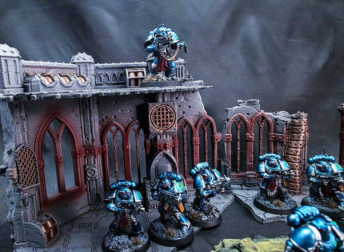 Grey Fox tweet media