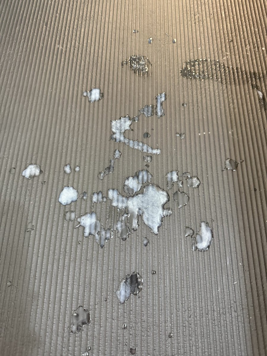 一只帅狗 tweet media