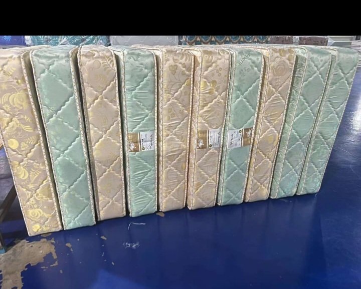 Big Tee😍 tweet media