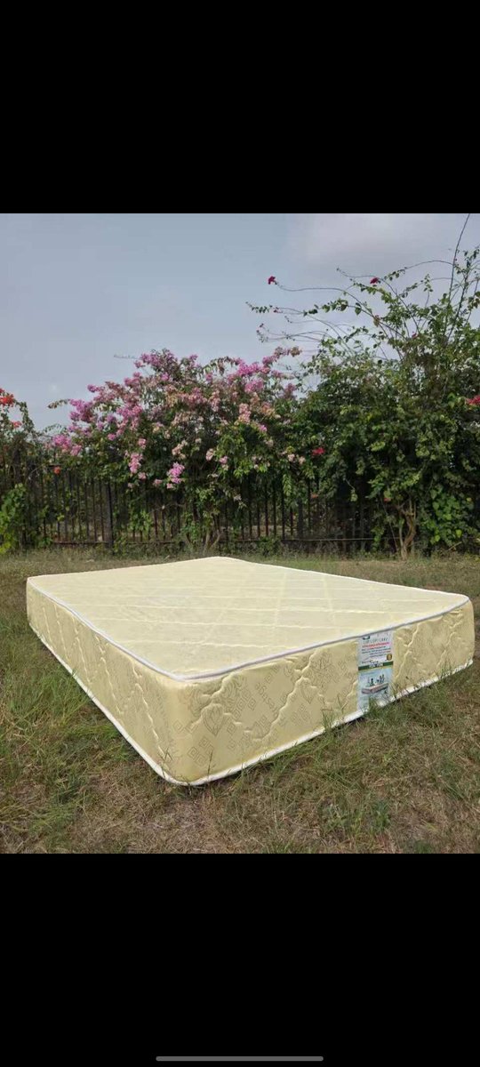 Big Tee😍 tweet media