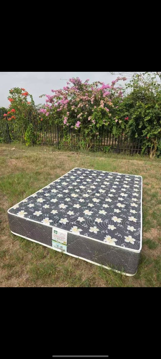 Big Tee😍 tweet media