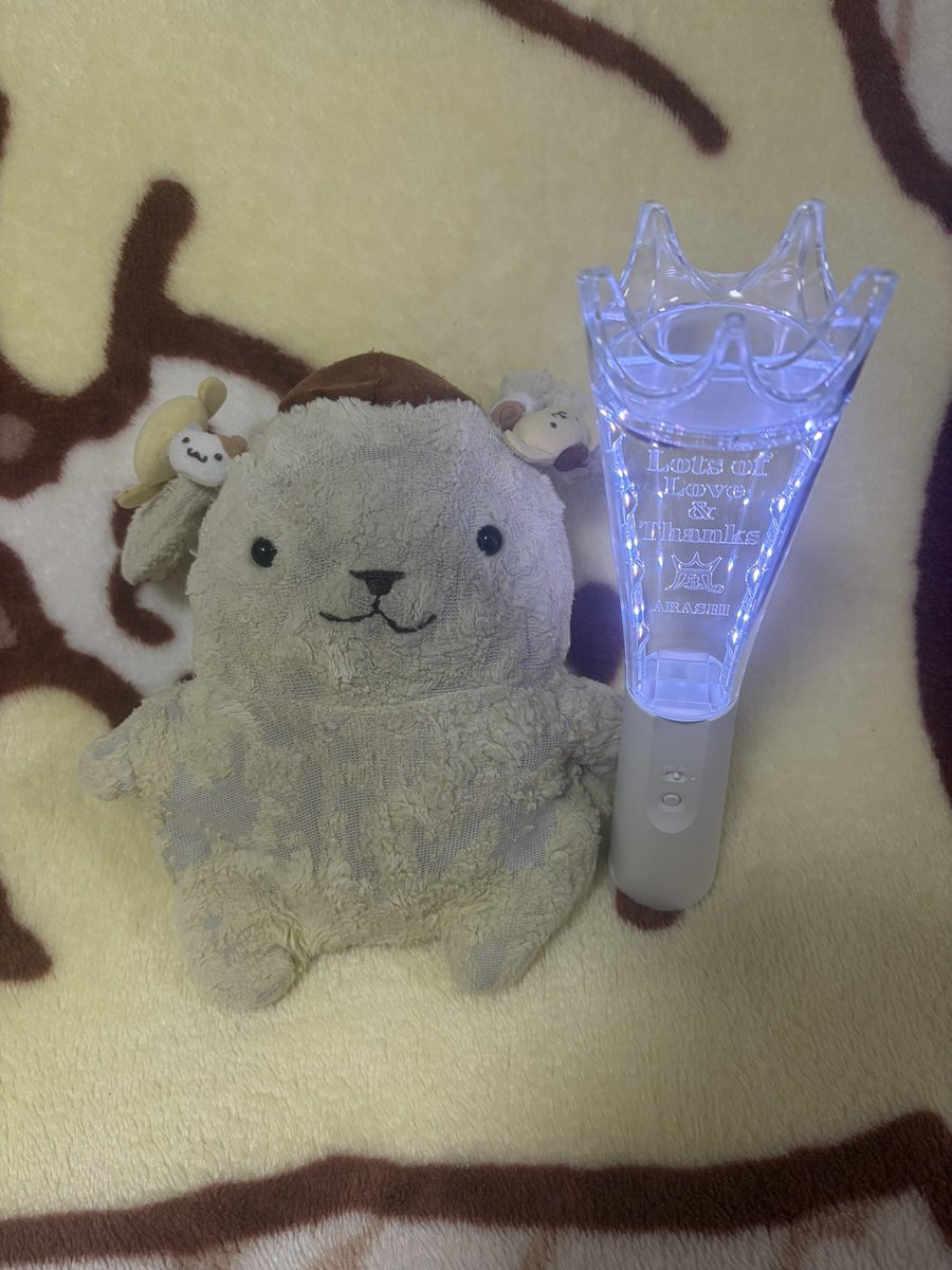 U・ω・Ｕ『プリン、あらしのペンライトかって、ぶし、とどいたプリっ😆👑❕❕❕

プリン、あらしにあうまえに、おふろはいってくるプリっ😊🛁🫧』
#嵐