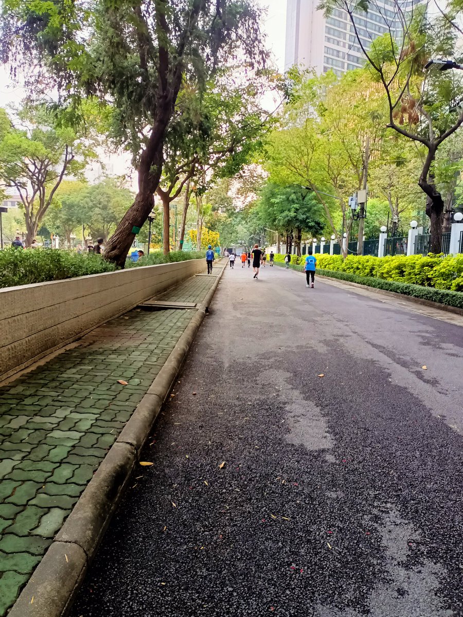 แมวเป็นสัตว์กินเนื้อ tweet media