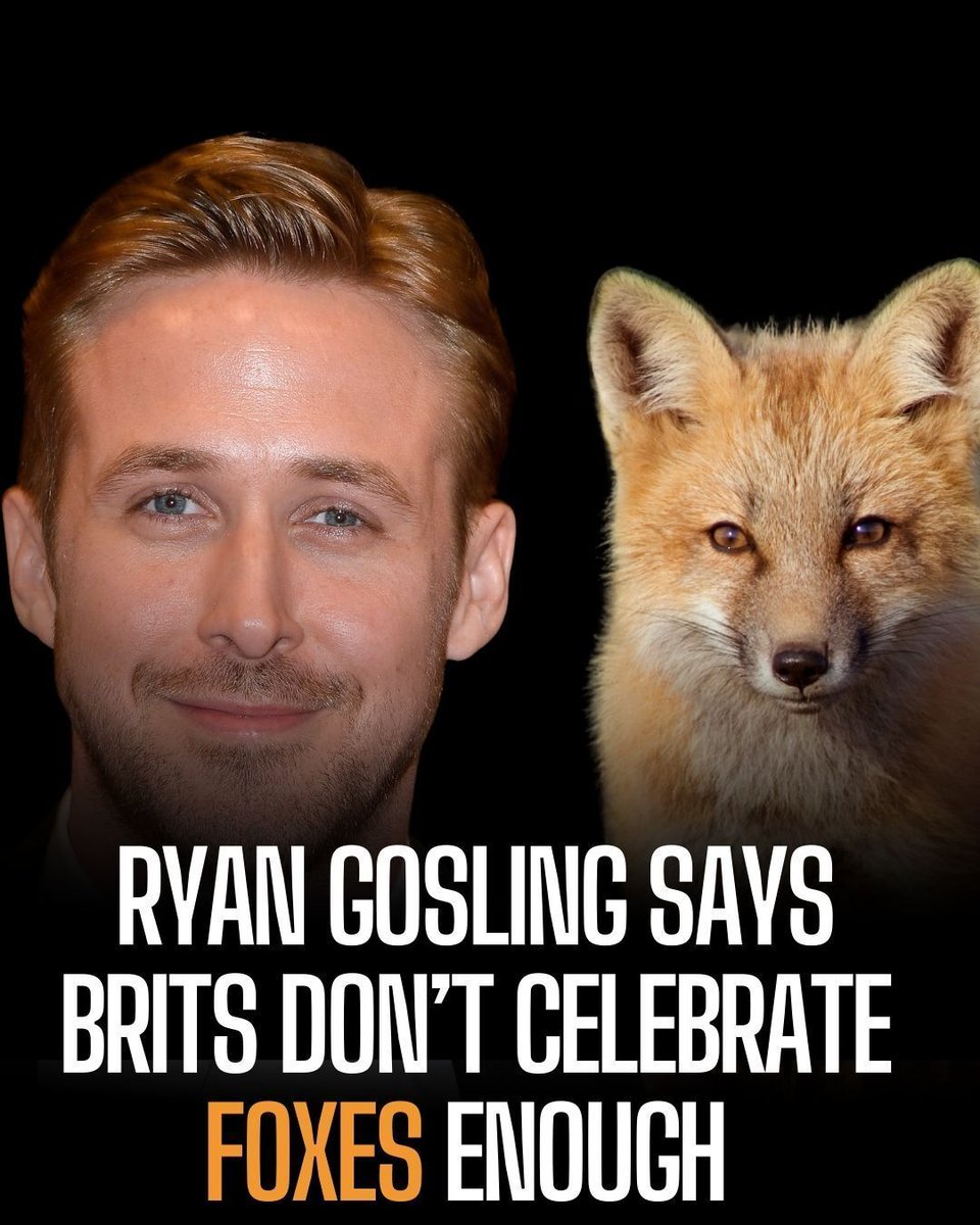 Protect the Wild tweet media