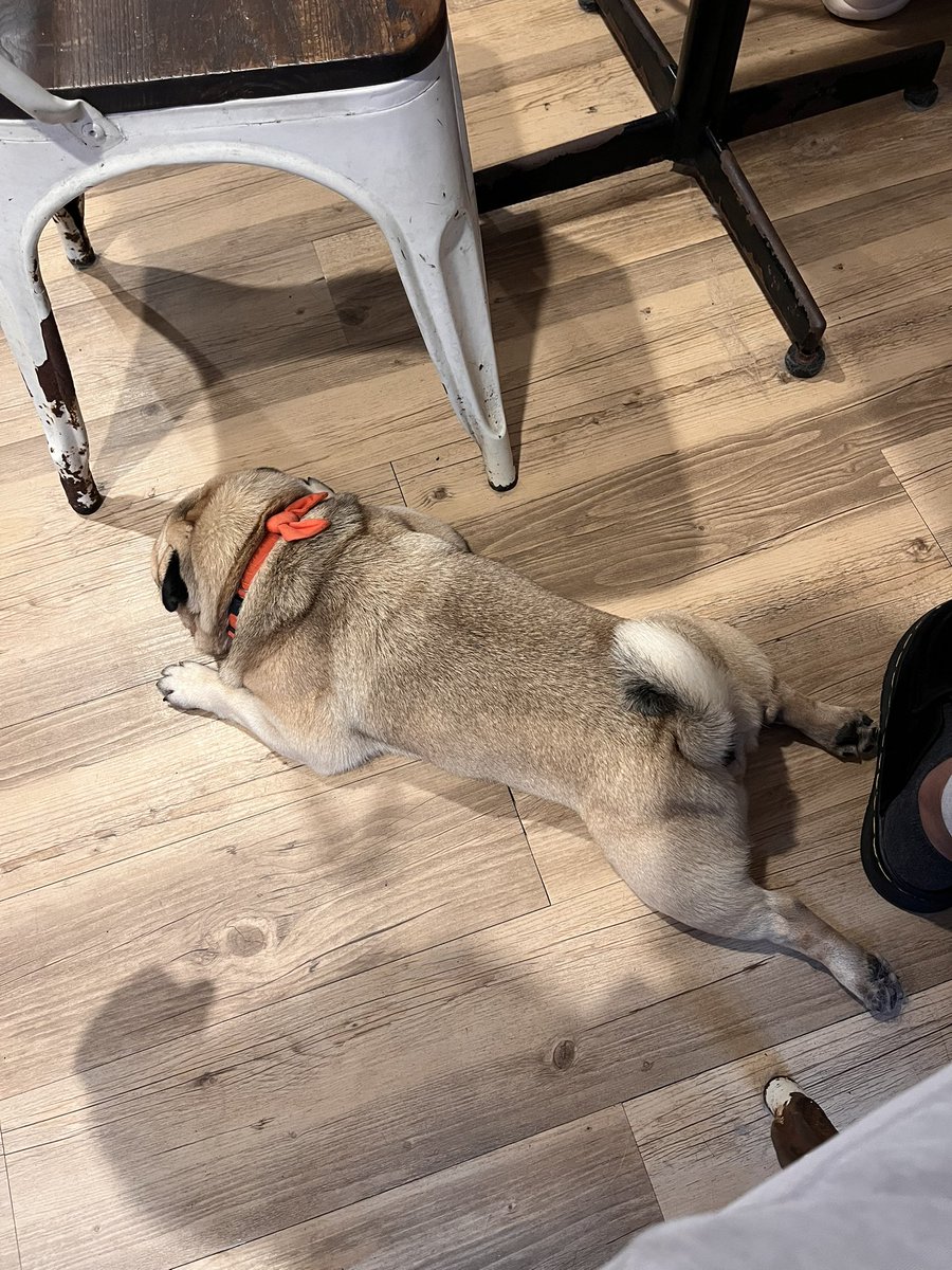 Foreign body tweet media