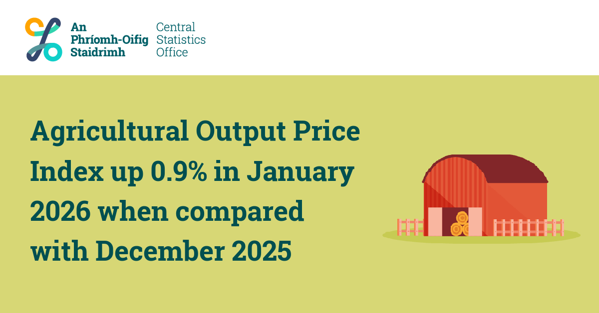 Central Statistics Office Ireland tweet media