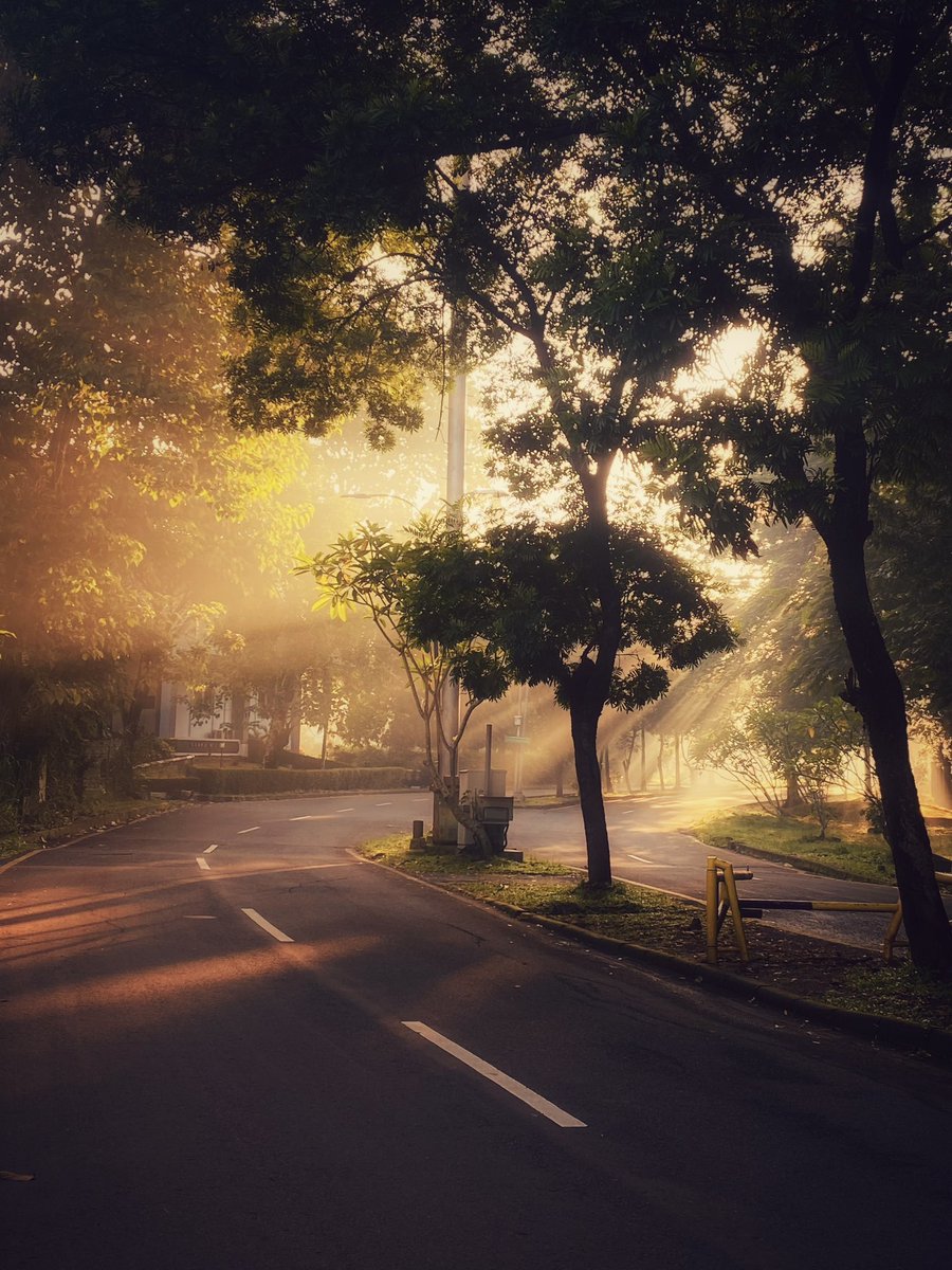 muchi 𓏲 ๋࣭ ࣪ ˖🎐 tweet media