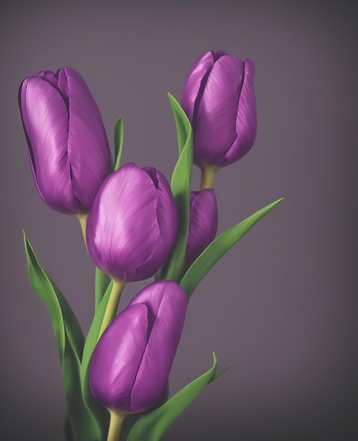 Angie Lopez tweet media