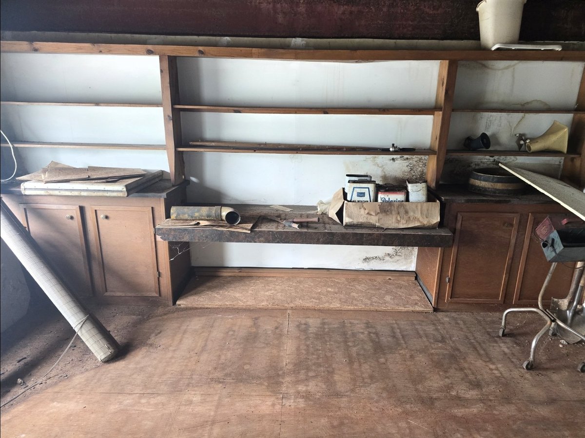 Amer Icon tweet media