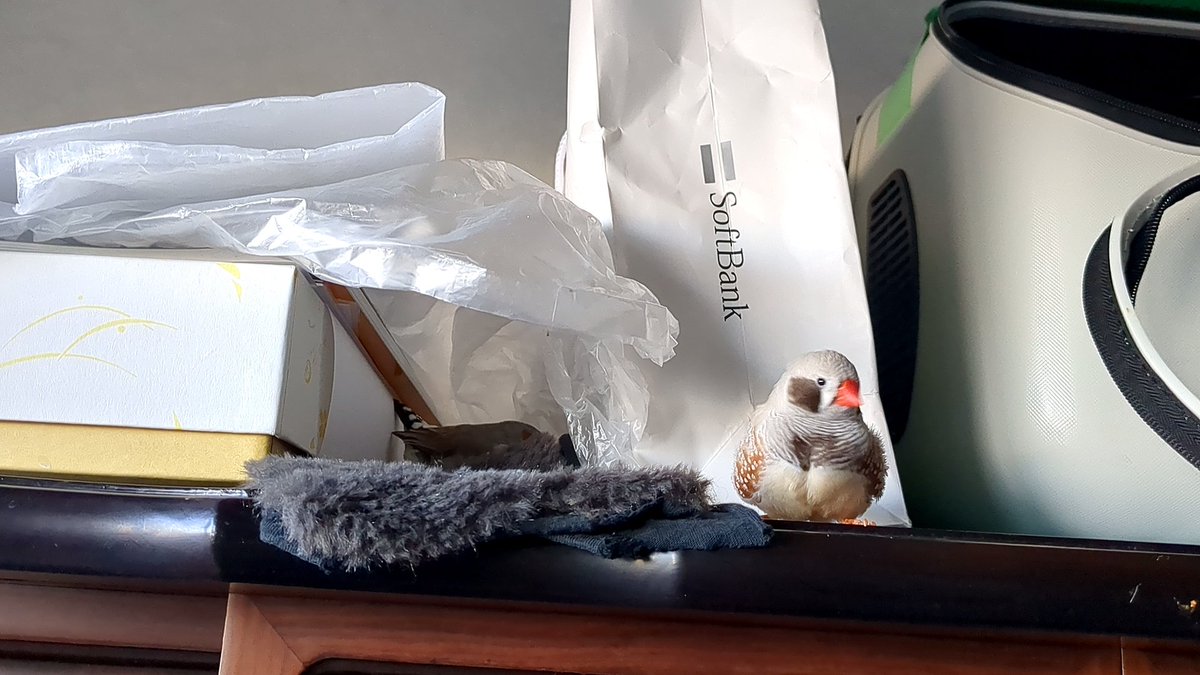 かとうみき tweet media