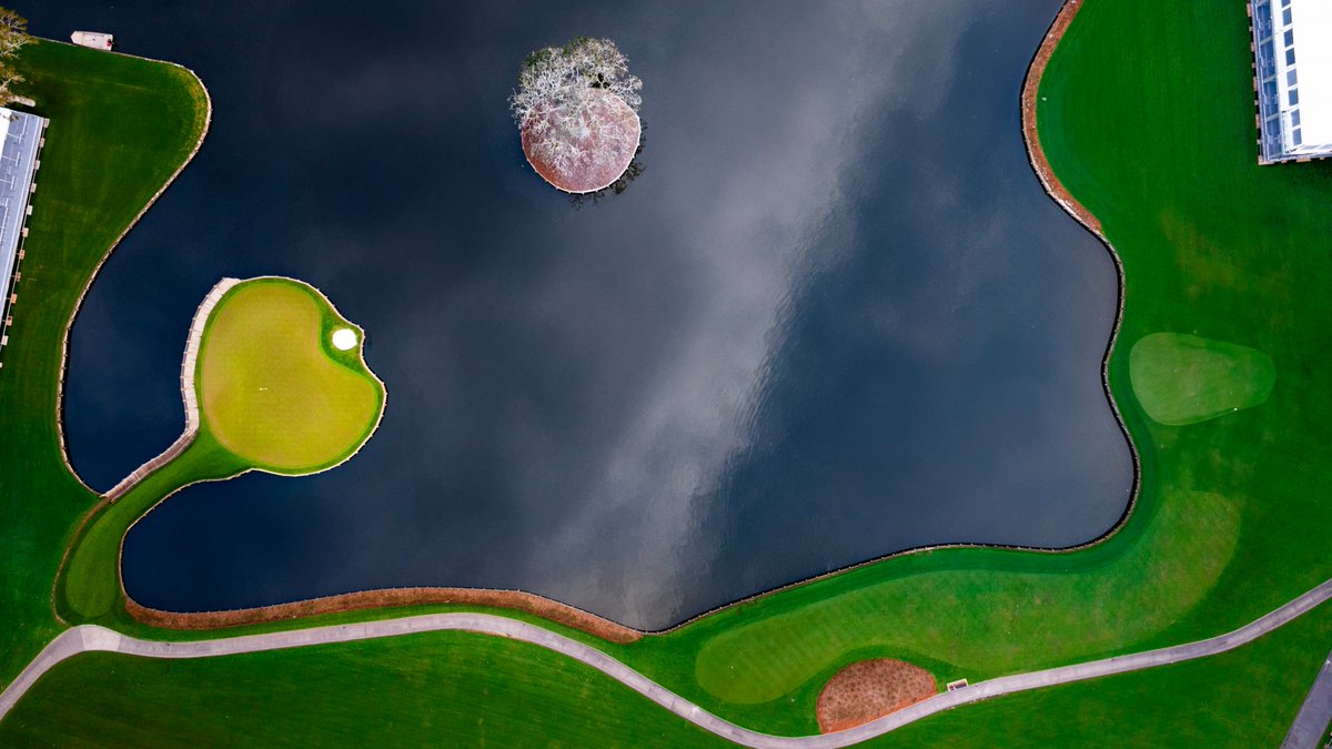 Cookie Jar Golf tweet media