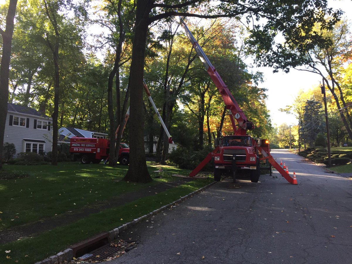 amazingtreesnj's tweet image. Tree Services in North NJ

Amazing Tree Services delivers reliable Tree Services in North NJ designed to maintain healthy trees and protect surrounding structures. Learn more: amazingtreeservicenj.blogspot.com/2026/03/tree-s…

#treeservices #treeremoval #treetrimming #treemaintenance #northnj
