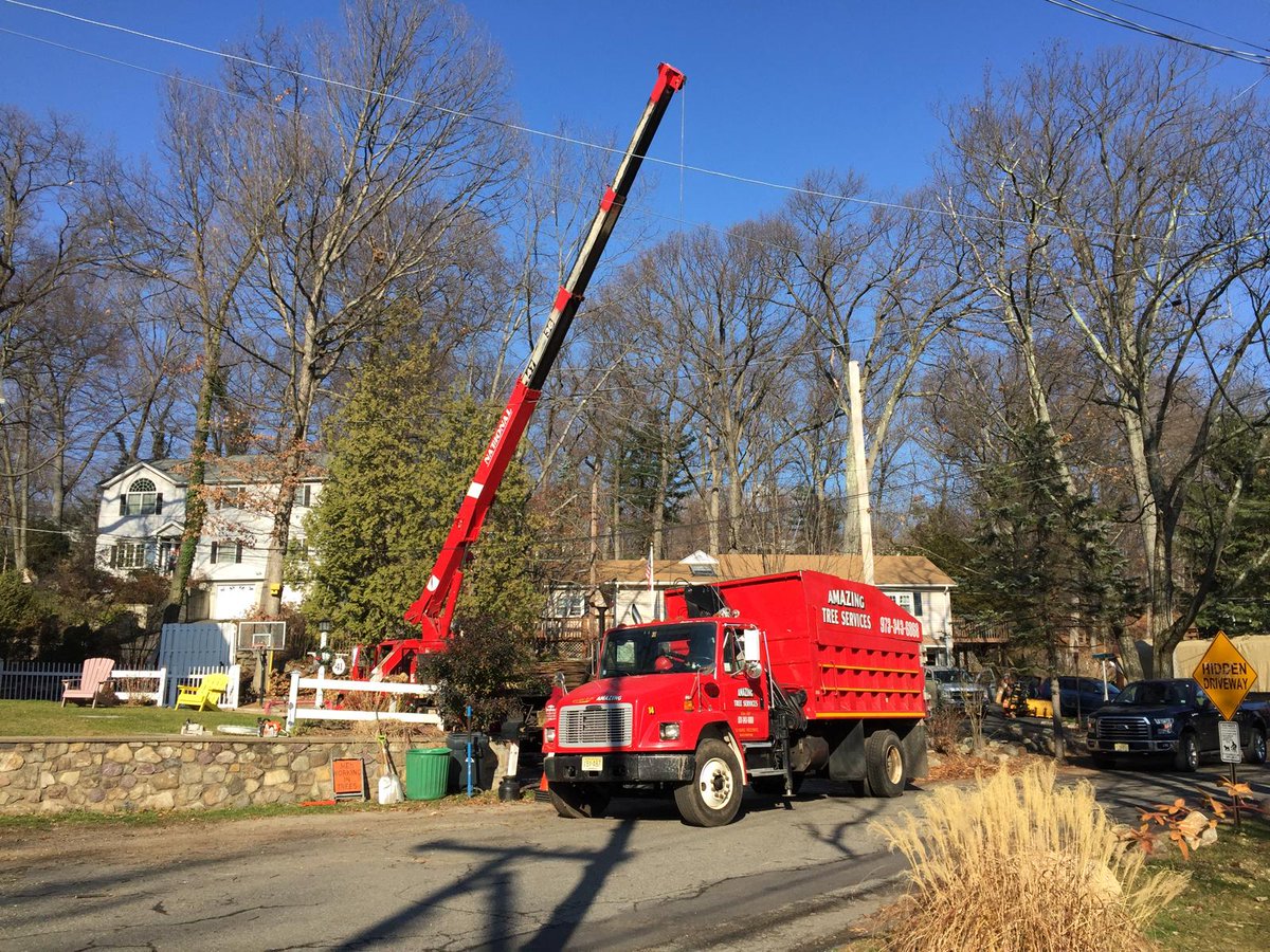 Tree Services in North NJ

Amazing Tree Services delivers reliable Tree Services in North NJ designed to maintain healthy trees and protect surrounding structures. Learn more: amazingtreeservicenj.blogspot.com/2026/03/tree-s…

#treeservices #treeremoval #treetrimming #treemaintenance #northnj