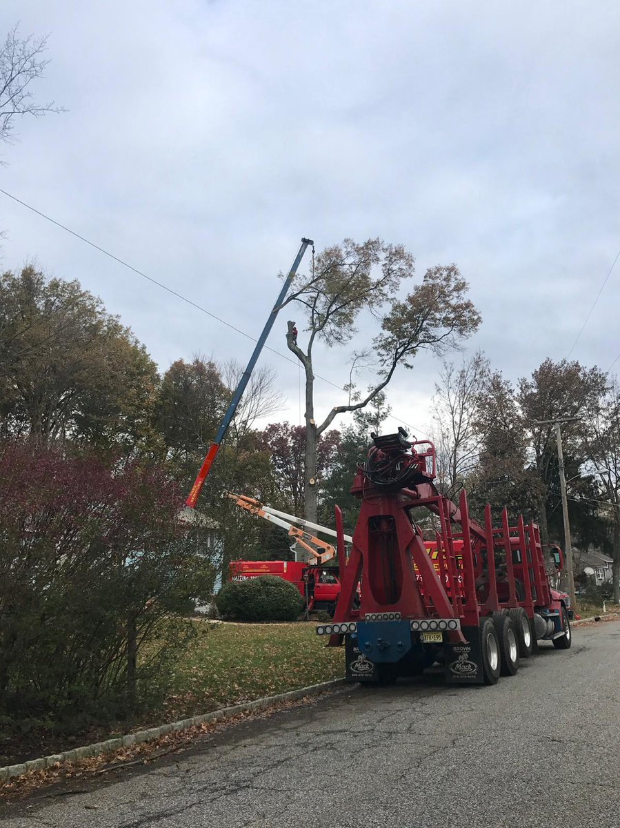 amazingtreesnj's tweet image. Tree Services in North NJ

Amazing Tree Services delivers reliable Tree Services in North NJ designed to maintain healthy trees and protect surrounding structures. Learn more: amazingtreeservicenj.blogspot.com/2026/03/tree-s…

#treeservices #treeremoval #treetrimming #treemaintenance #northnj