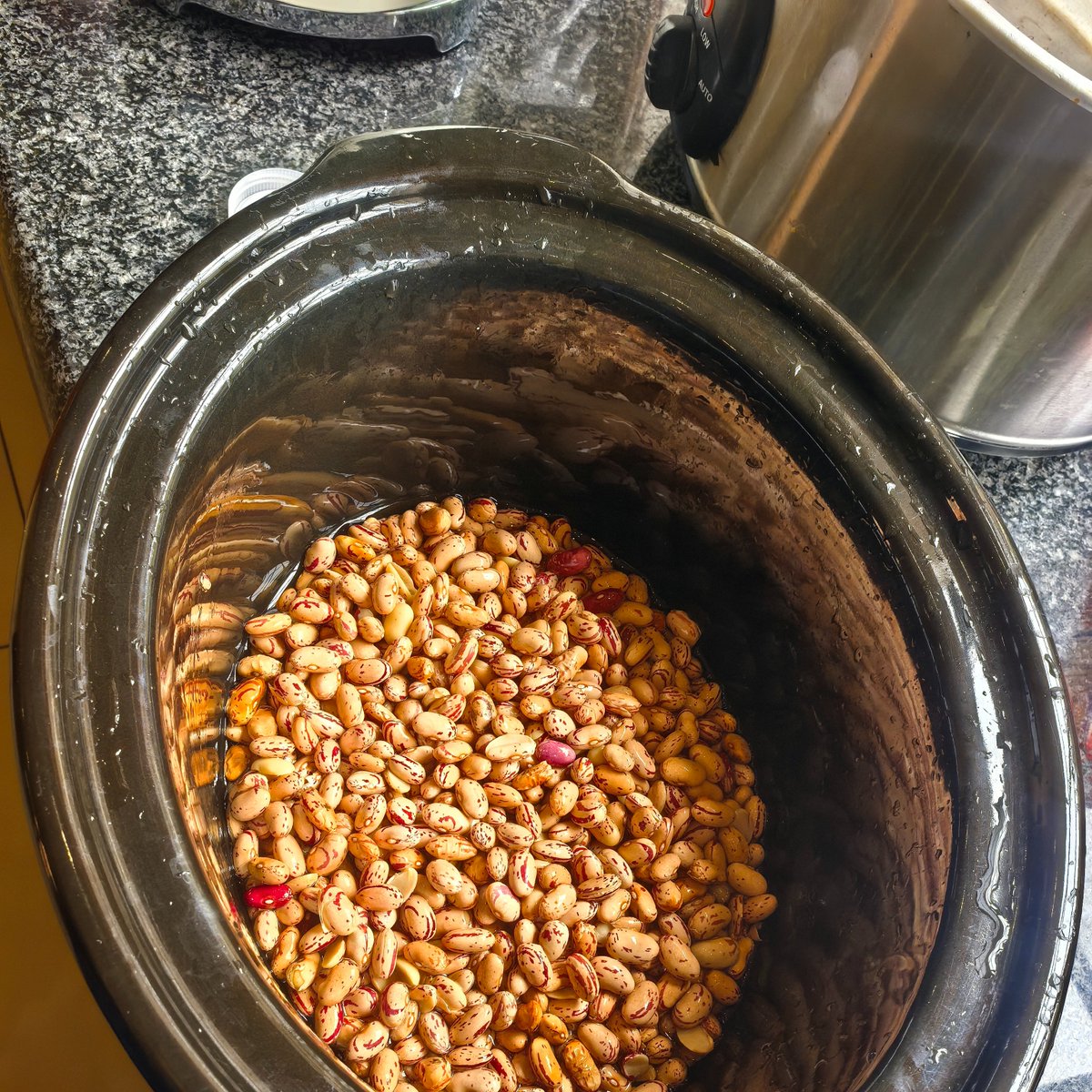 Avanza P Ndaba tweet media