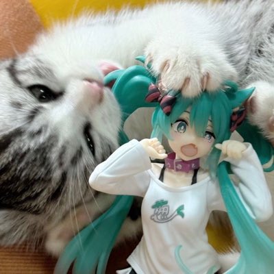 mae ⋆˚ʚɞ tweet media