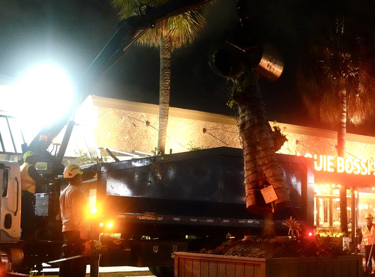 Joe Cavaretta tweet media