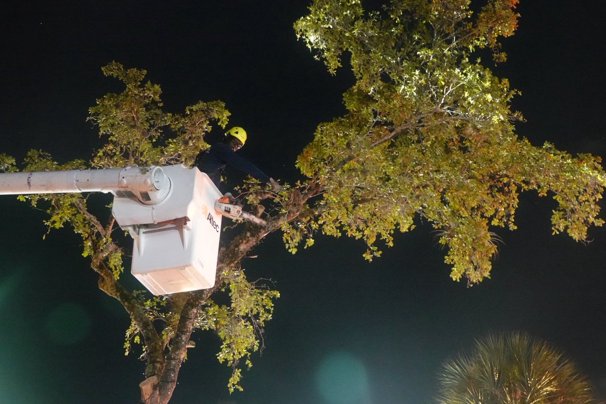 Joe Cavaretta tweet media