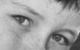 Bufo Calvin tweet media