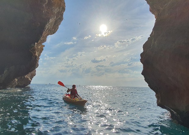 AMT Sol y Playa tweet media