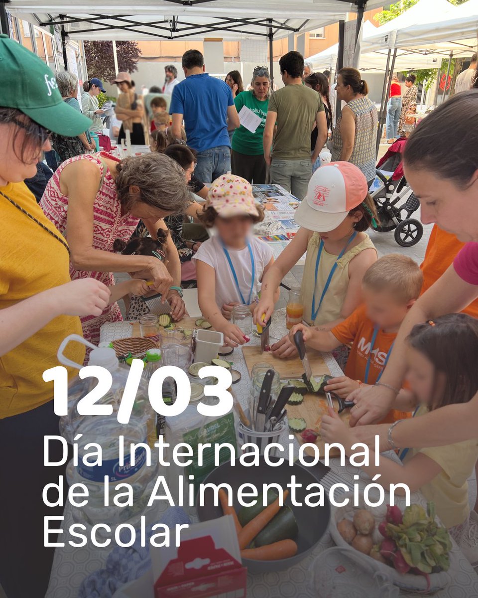 Fundación Vida Sostenible tweet media