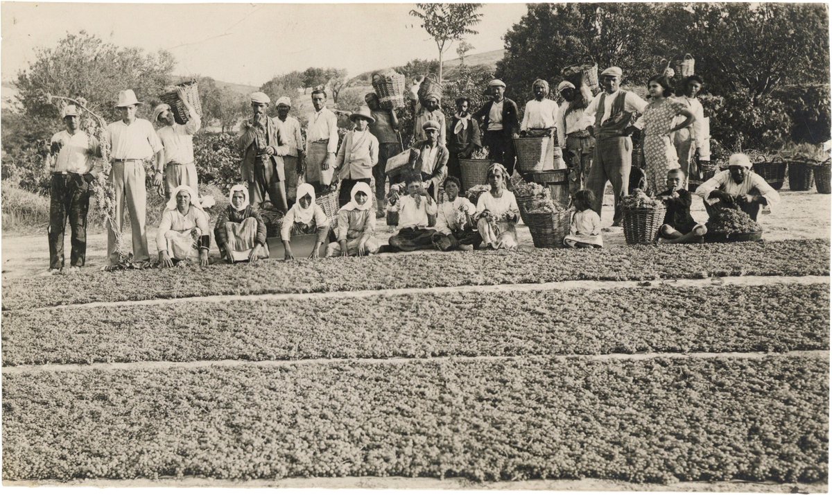 kopukbaglar tweet media