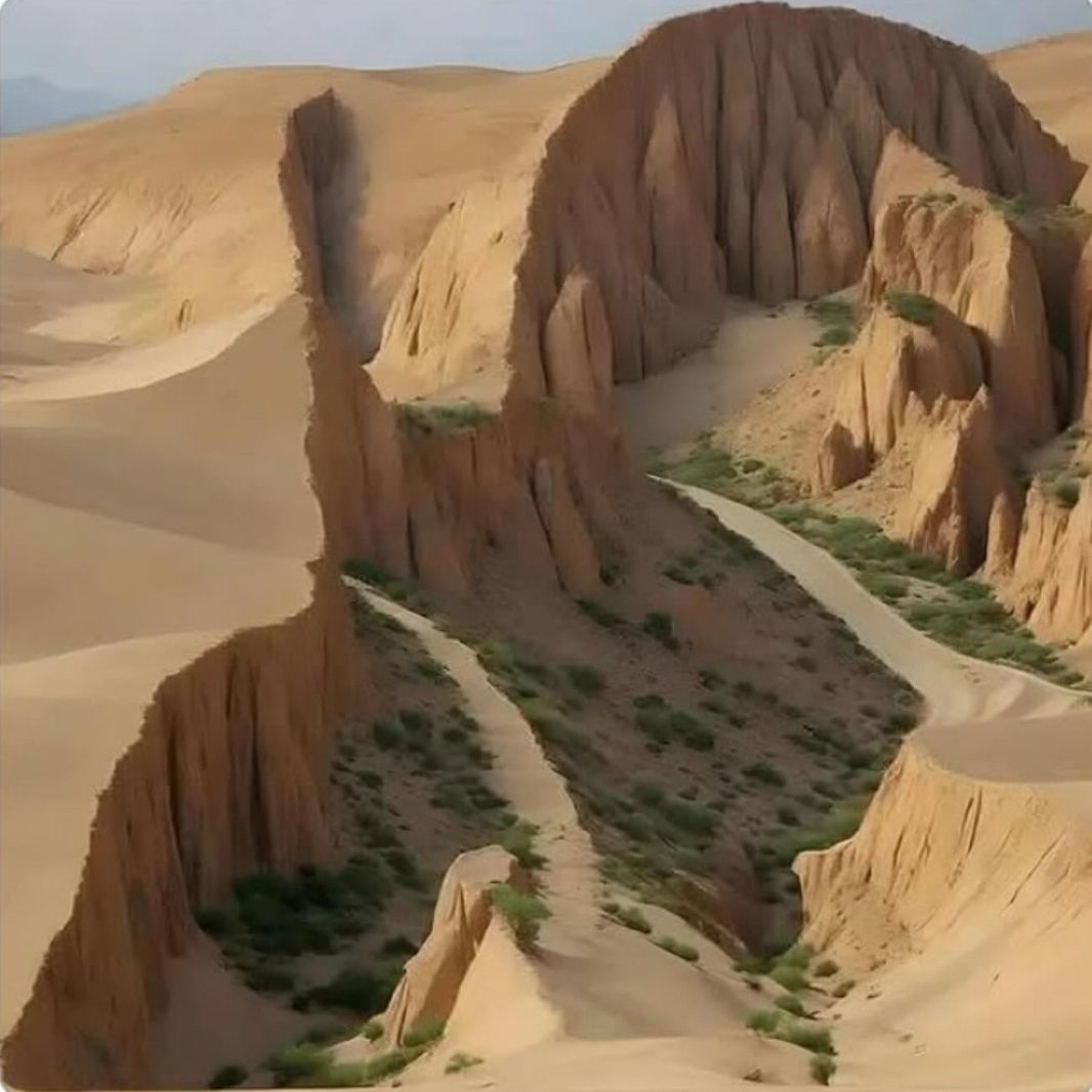 Treasure ★ tweet media