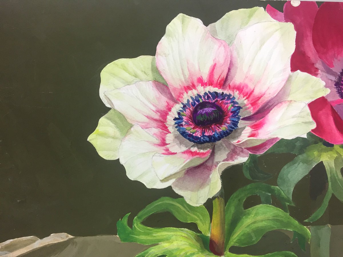 𓆸 a16ny by siro/iro𓆸 tweet media