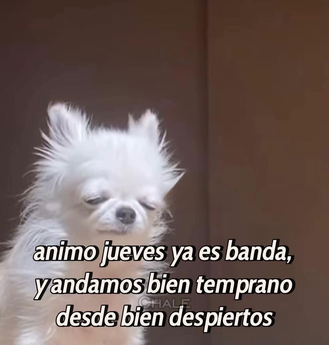 En Júpiter (@en_jupiter_) on Twitter photo 