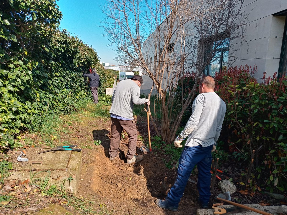 CENTRO EL CAMPILLO tweet media