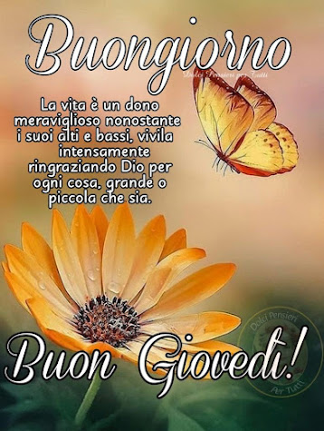 👍👍👍E.... si, sempre sempre sempre eComunque infatti !!!❤️❤️❤️🙏🙏🙏🌹🌷🌹🌷🌹😊😉😉😉