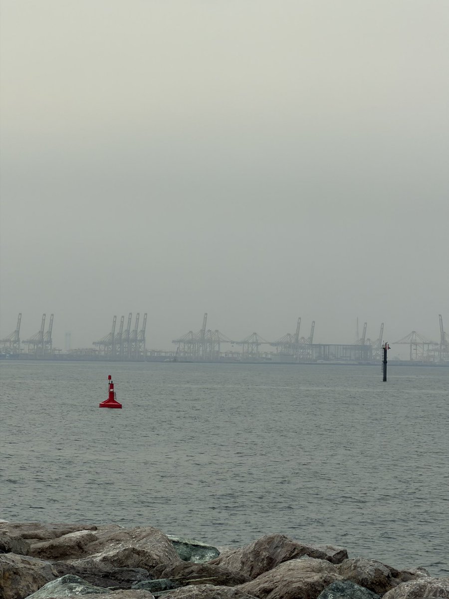 Connell McShane tweet media