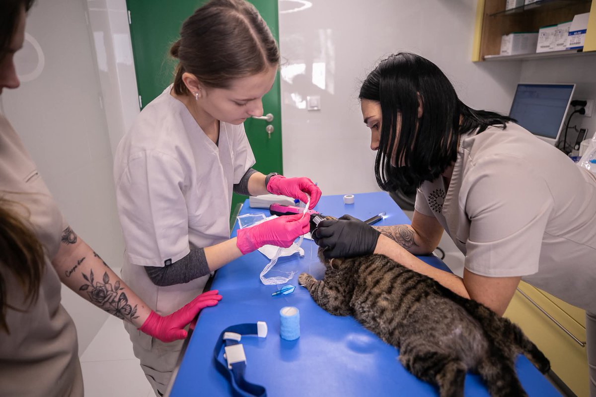 Fundacja ADA tweet media